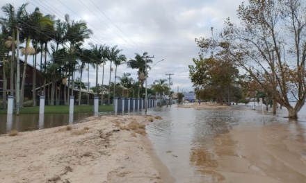 LEVANTAMENTO DO LOCOSTE – FURG INDICA QUE EVENTO CLIMÁTICO PODE SE ESTENDER ATÉ JUNHO