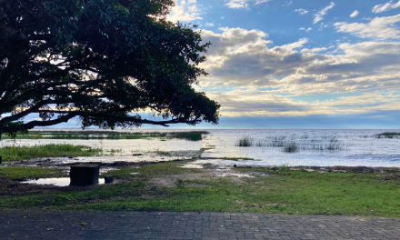 ATENÇÃO E ALERTA: LAGOA DOS PATOS SUBIU 18CM NA MADRUGADA