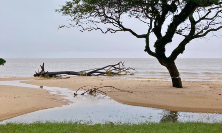 LAGOA DOS PATOS BAIXA QUASE 30CM: SECRETÁRIO EXPLICA FENÔMENO MOMENTÂNEO