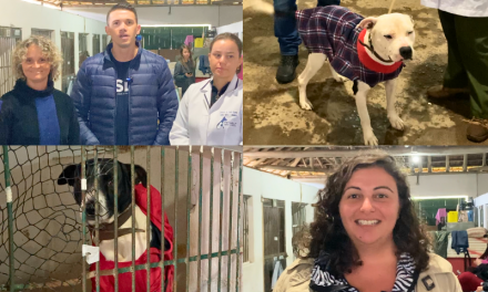 ABRIGO DE PETS CONTA COM 61 ANIMAIS – O ESPAÇO PRECISA DA DOAÇÃO DE RAÇÃO E PALLETS