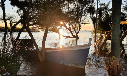 SOL, CARREGADO DE ESPERANÇA, ILUMINA LAGOA DOS PATOS E LOURENCIANOS