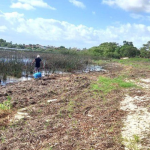 7º MUTIRÃO E REMADA AMBIENTAL ACONTECE NESTE SÁBADO, 3