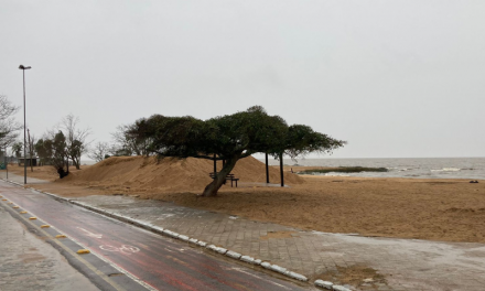 PREFEITO FALA SOBRE RECONSTRUÇÃO DA ORLA E DE QUE FORMA TRABALHA O REMANEJAMENTO DA AREIA DA PRAIA