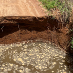 COMO A ADMINISTRAÇÃO MUNICIPAL IRÁ ATUAR NA RECUPERAÇÃO DE PONTES DO INTERIOR E MANUTENÇÃO DAS VIAS