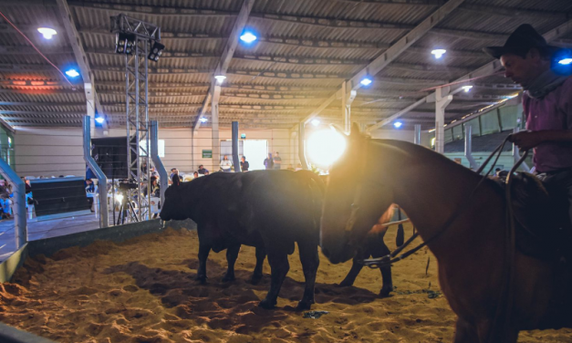 DEFINIDA A AGENDA DE REMATES EM SÃO LOURENÇO DO SUL