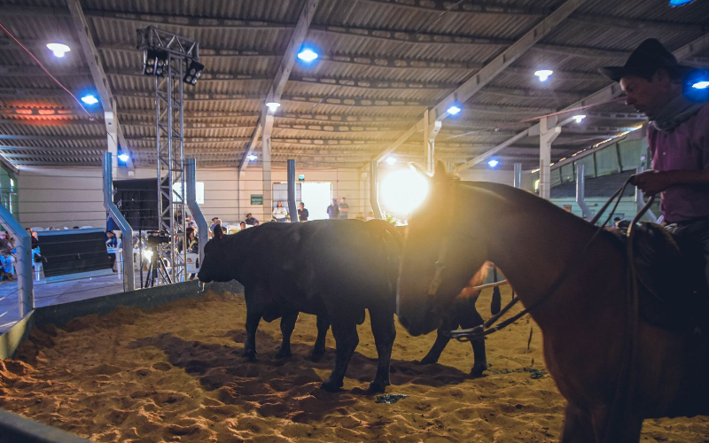 DEFINIDA A AGENDA DE REMATES EM SÃO LOURENÇO DO SUL