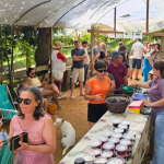 ABERTURA OFICIAL DA COLHEITA DA UVA NOS VINHEDOS FORTALEZA