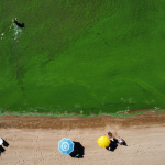 CABE A REFLEXÃO – LAGOA APRESENTOU ACENTUADA NATA VERDE AO LONGO DO FINAL DE SEMANA