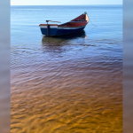 OS ENCANTOS DA SALINIZAÇÃO DA LAGOA DOS PATOS