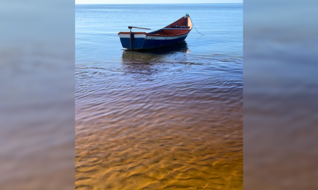 OS ENCANTOS DA SALINIZAÇÃO DA LAGOA DOS PATOS