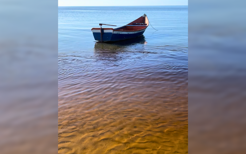 OS ENCANTOS DA SALINIZAÇÃO DA LAGOA DOS PATOS