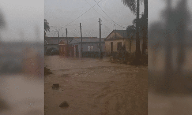 ÁGUAS CAUSAM TRANSTORNOS NO COQUEIRO