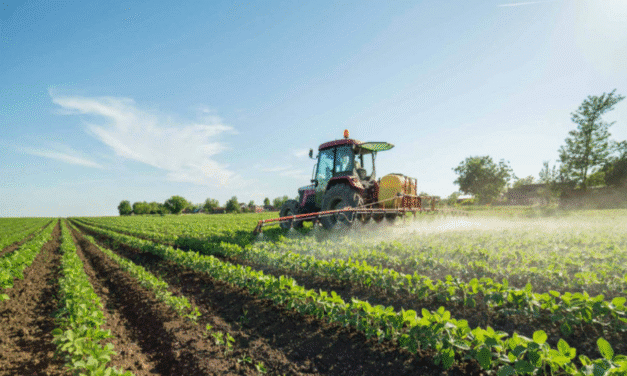 PLANO SAFRA: SICREDI INTERESTADOS VIABILIZA ACESSO A RECURSOS PARA PRODUTORES