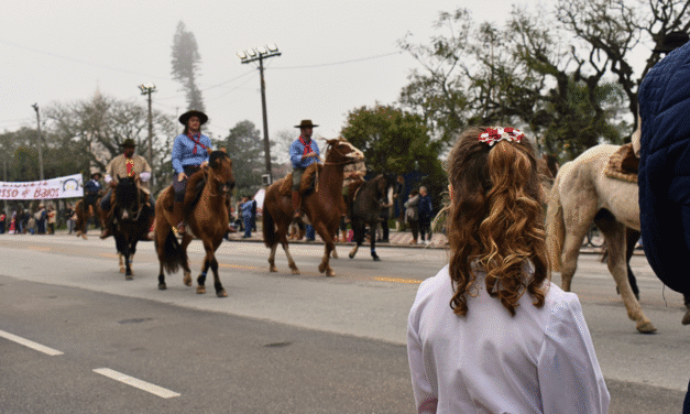 DESFILE FARROUPILHA: APENAS 122 CAVALOS ESTÃO APTOS ATÉ AGORA, DE 800 PREVISTOS