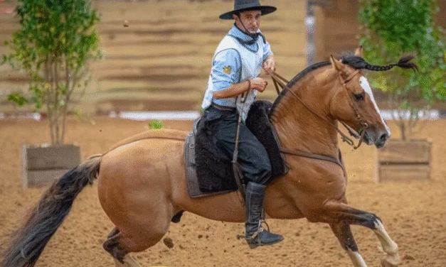1º MUNDIALITO INCENTIVA O FUTURO DA RAÇA CRIOULA NA COSTA DOCE