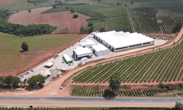 INVESTIMENTO DE R$ 37 MILHÕES VIABILIZA USINA DE BIOCHAR EM SÃO LOURENÇO DO SUL