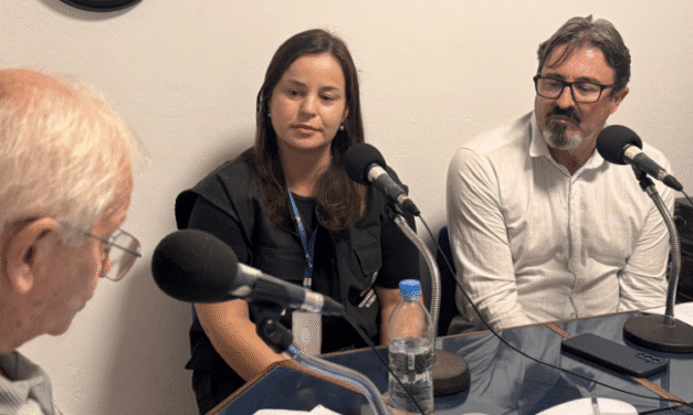 “ANO ATÍPICO”: INFESTAÇÃO DE INSETOS PREOCUPA SÃO LOURENÇO DO SUL