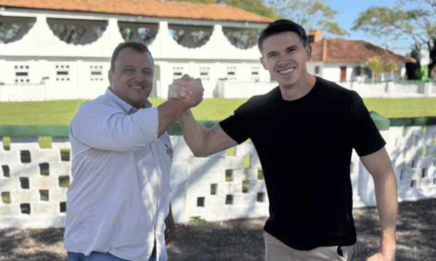 HOJE: 470 RESES EM OFERTA NO REMATE VIRTUAL ESPECIAL DO PRODUTOR