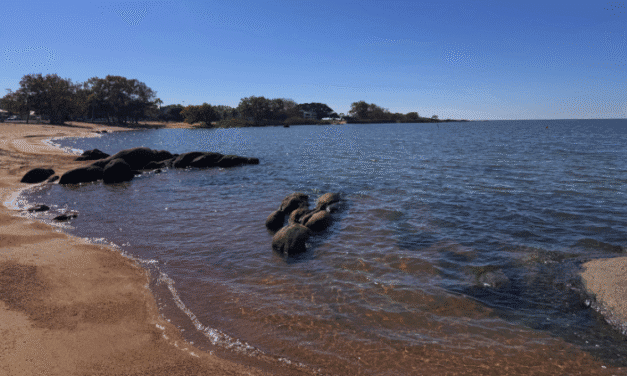 ÁGUAS CRISTALINAS DA LAGOA IMPRESSIONAM; ENTENDA O MOTIVO
