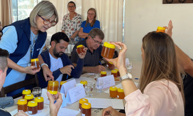 EVENTO DA EMATER VALORIZA A PRODUÇÃO DE MEL EM SÃO LOURENÇO DO SUL