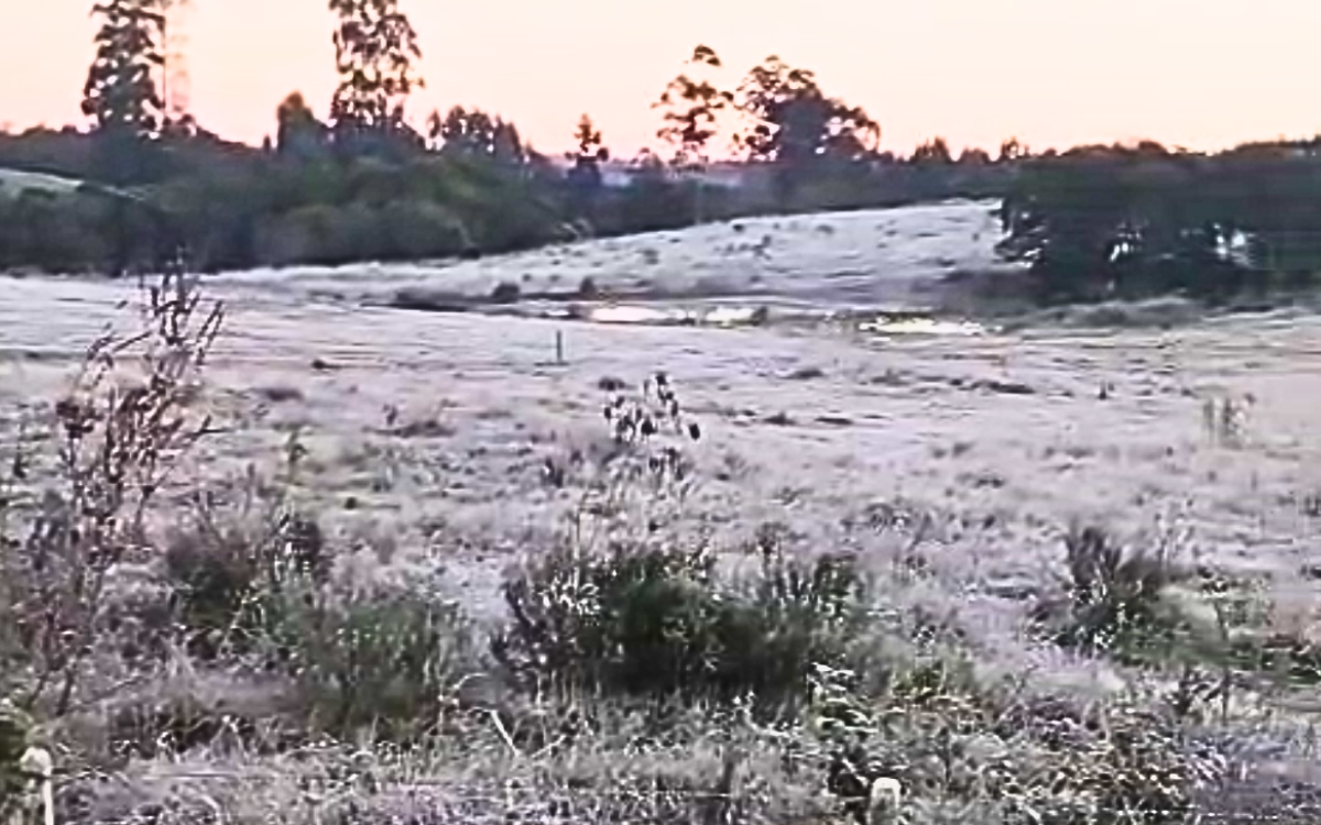CAPA SITE (6)