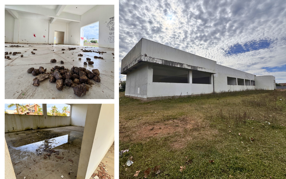 CAPA SITE (16)