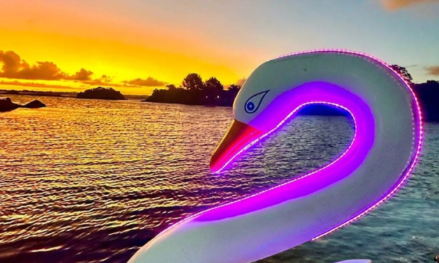 CISNE’S DA LAGOA PROJETA NOVIDADES PARA A TEMPORADA DE VERÃO